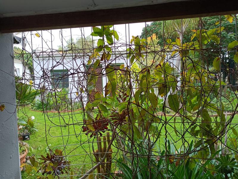 3 Bedroom Property for Sale in Darling Western Cape
